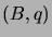 $ (B,q)$